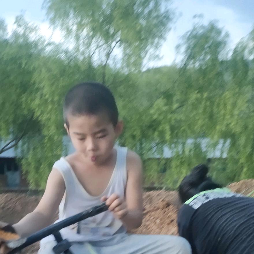 农村经济人，为农村农耕文化拍出好的作品