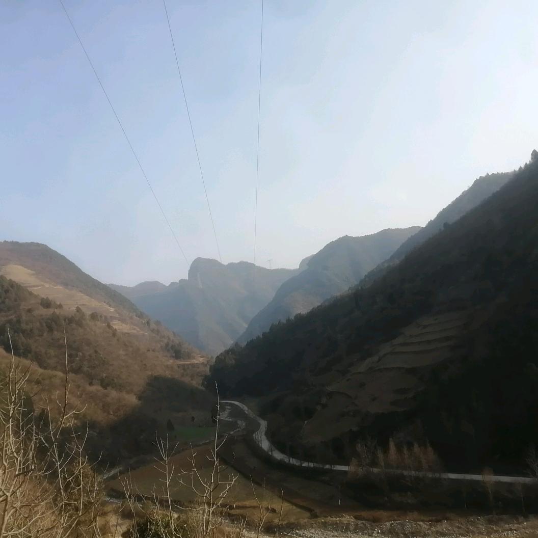 闻非之明