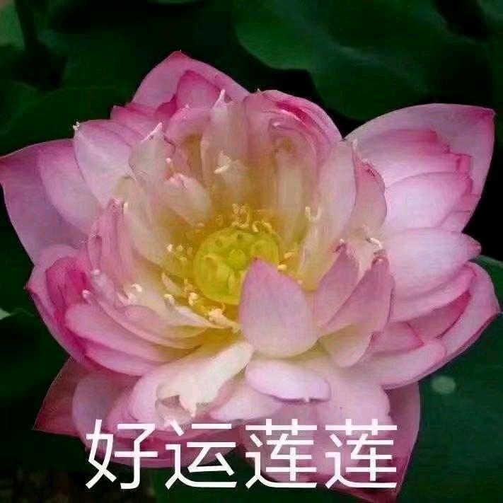 🌈🌈下次一定要早睡🌈🌈