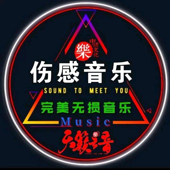 星空情歌库（可够优盘）