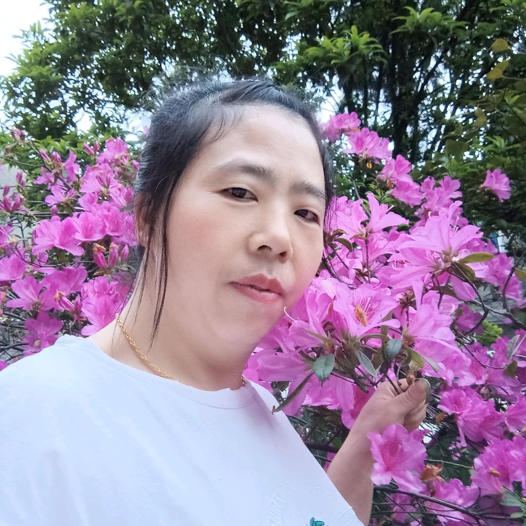 桂姐姐