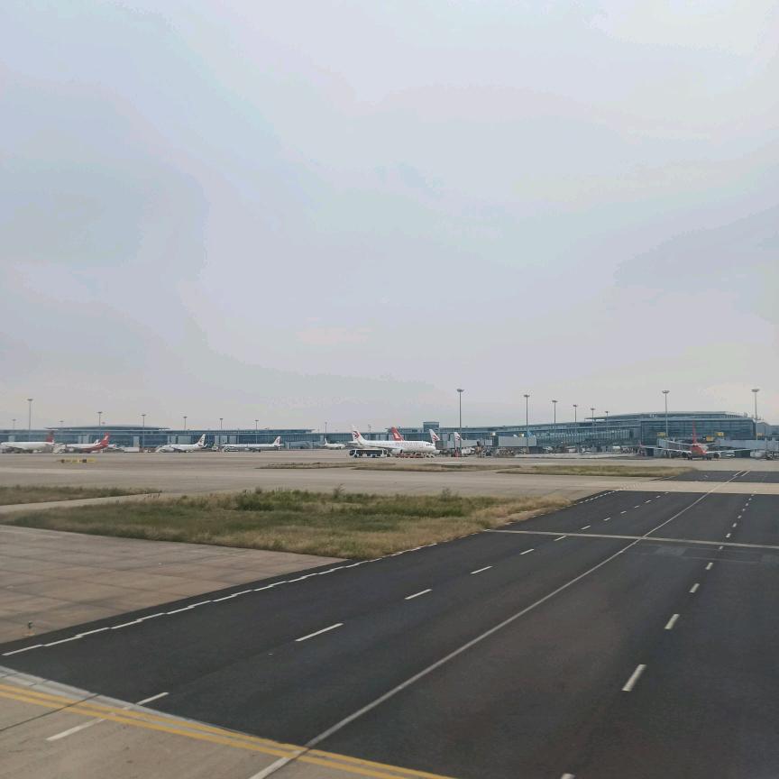 四川龙哥