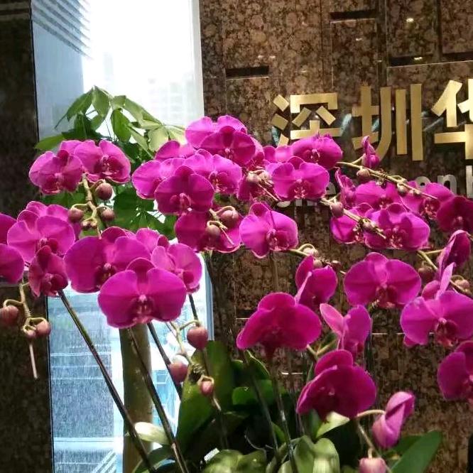 好人一生平安💖