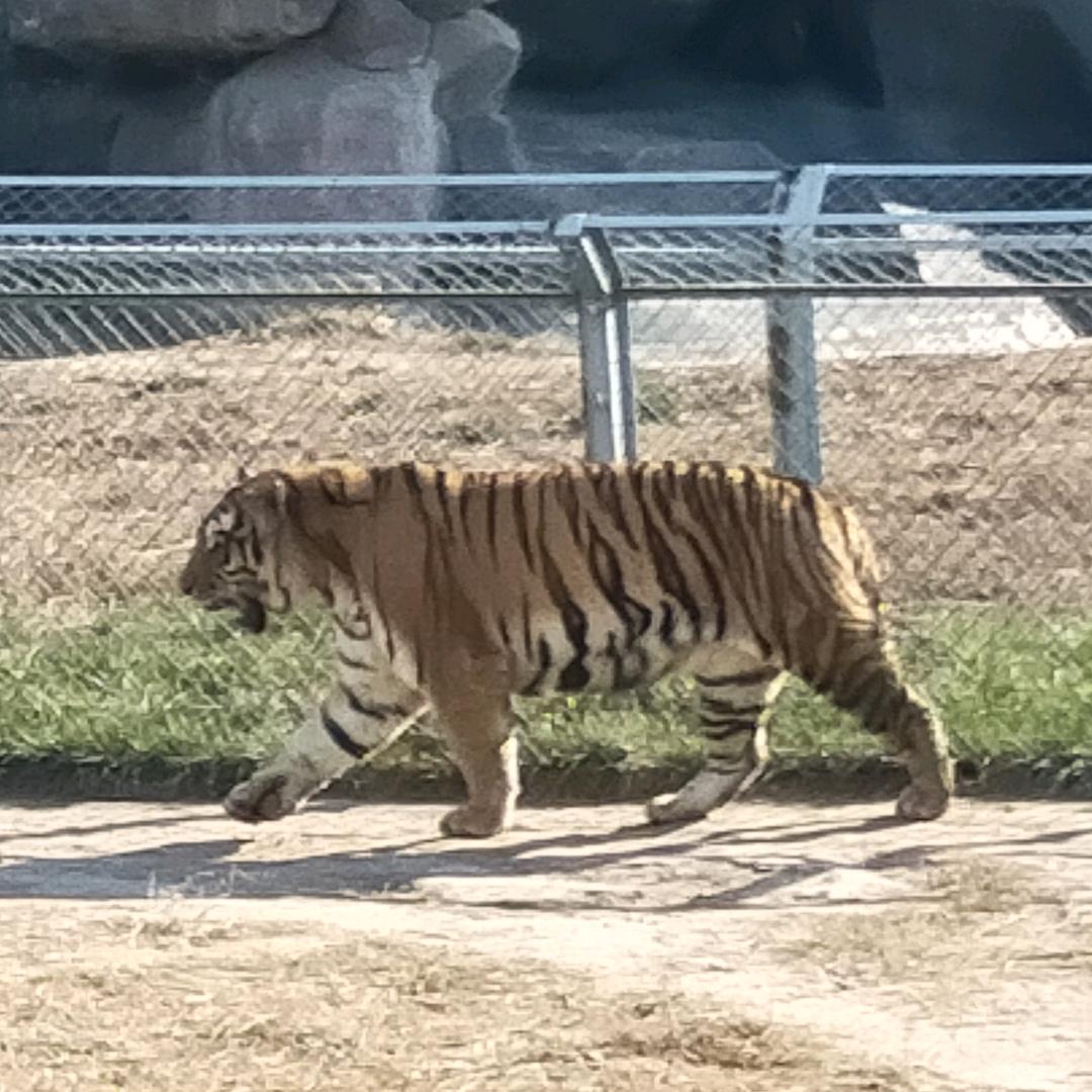 换网名，换个心情