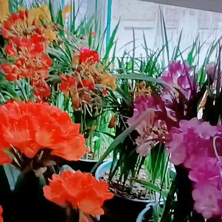 珍惜