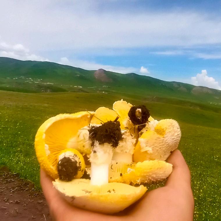 སྐར་མ་།