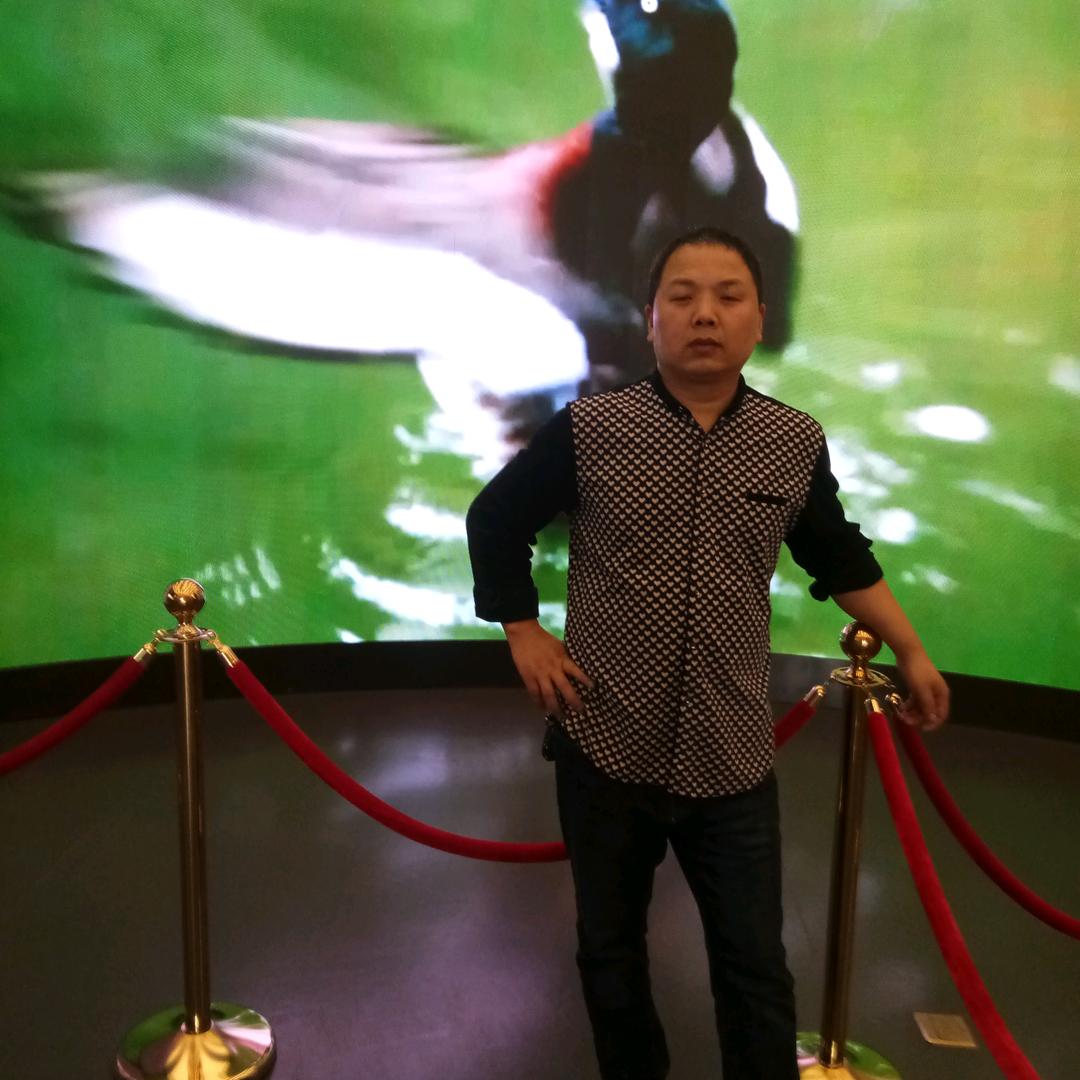 ￥:石来运转:￥