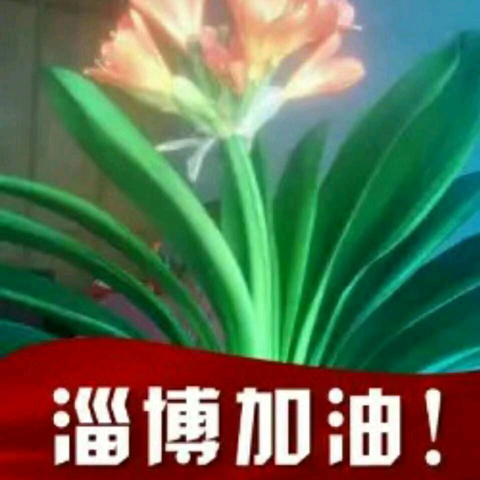 迷路的鱼🐠