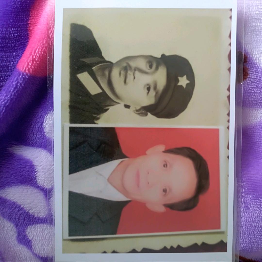 王洪树