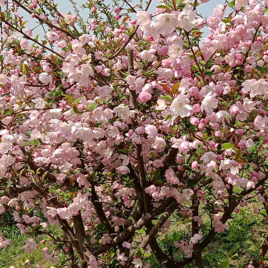 女人是拿来疼的