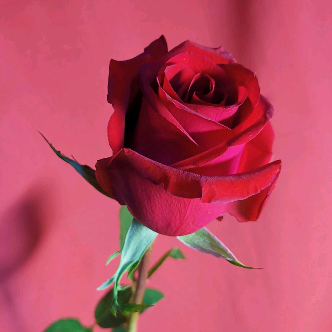 生活因你而精彩