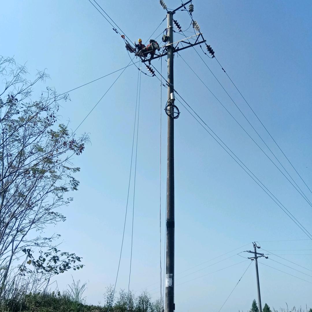 洪哥