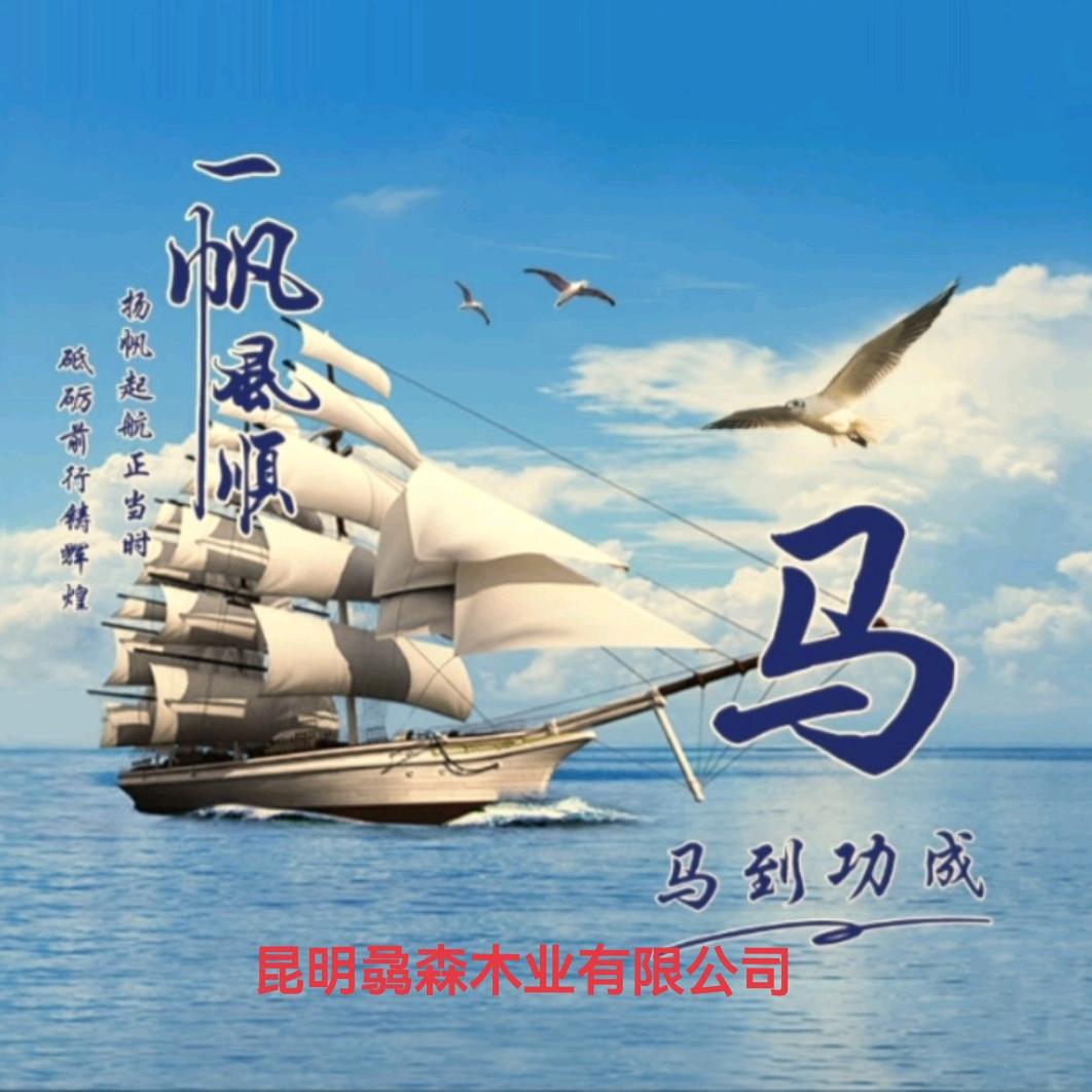 高端木屋民宿 设计建造厂家