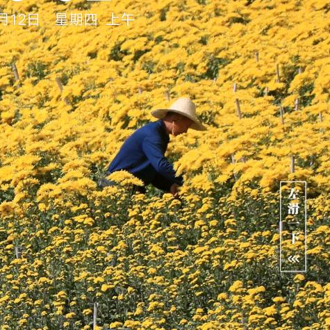 用户9218167772024