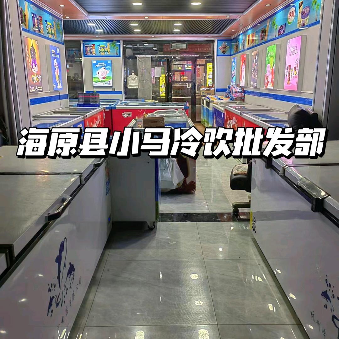 海原县伊利冰淇淋专柜店