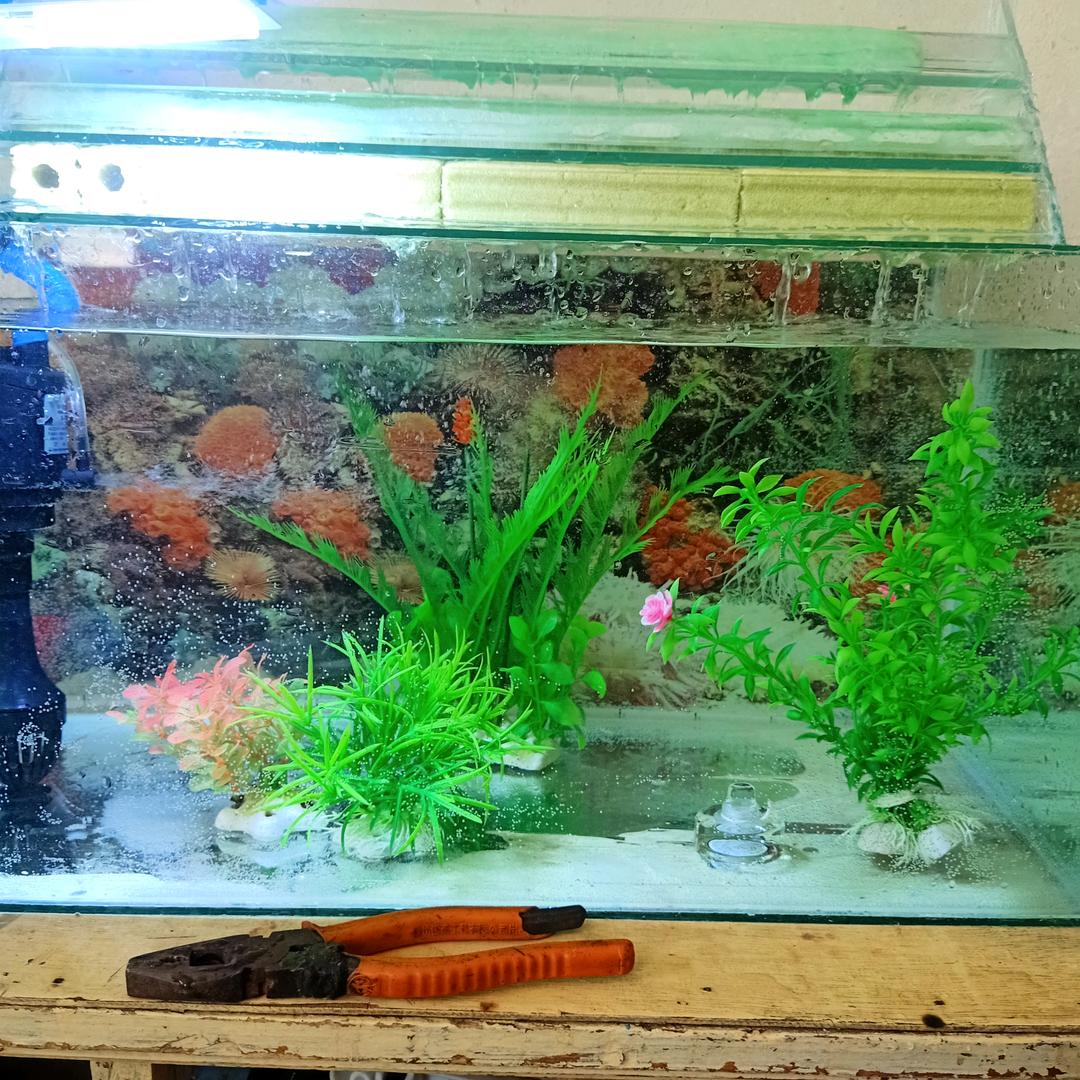 永不忘记