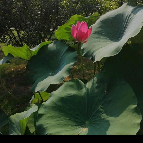 不忘初心