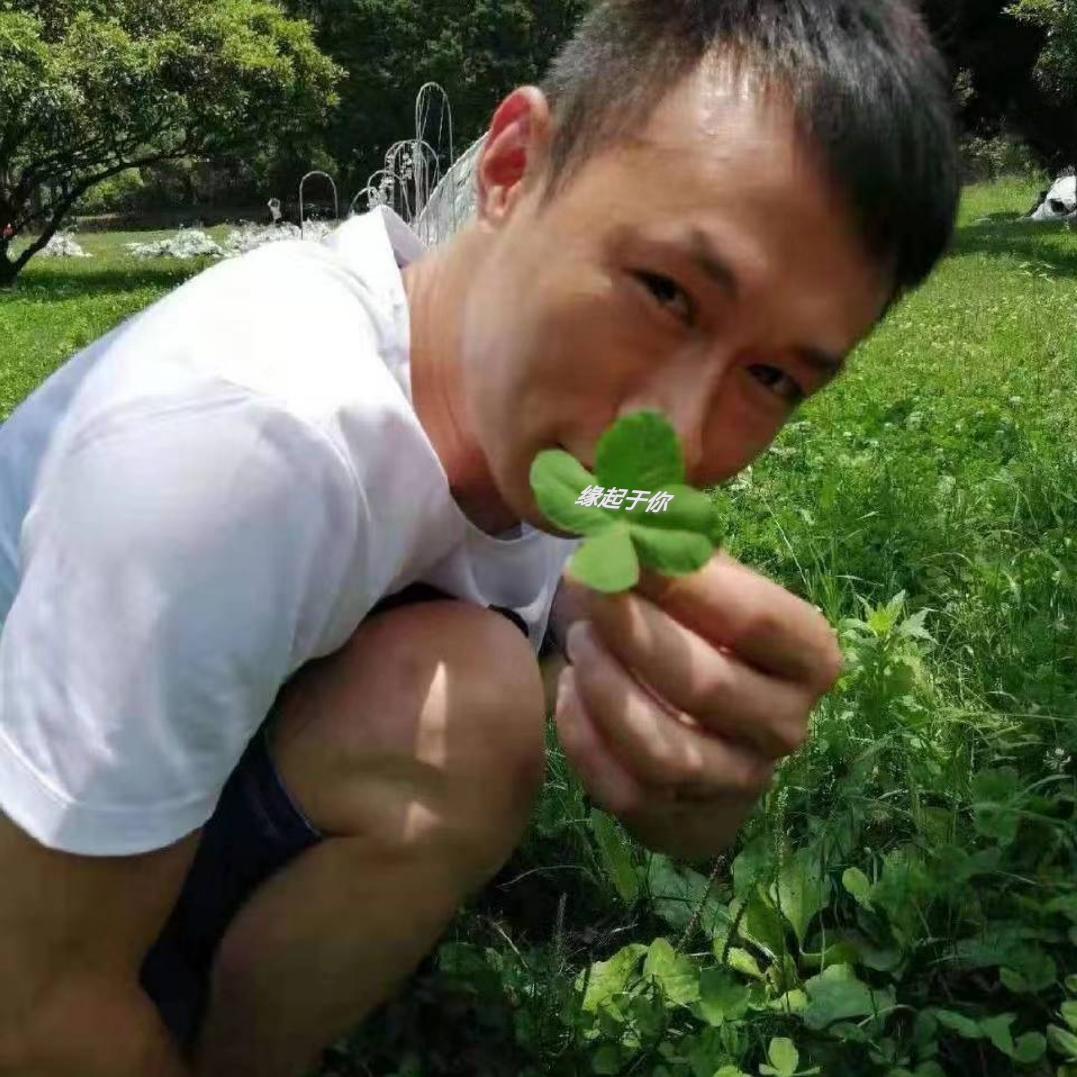 尹记贵州烙锅  资阳雁城印象店