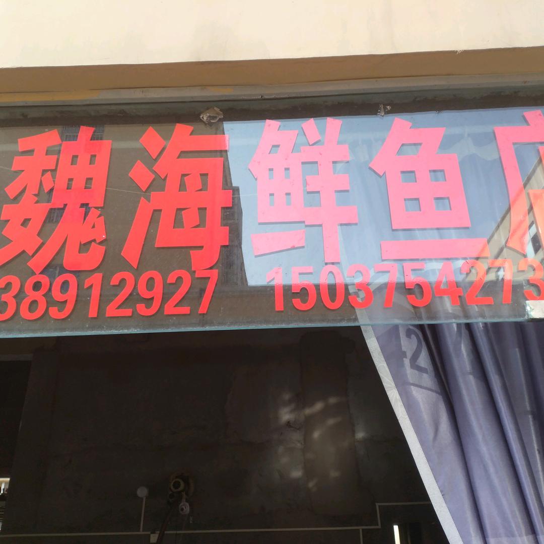 老魏海鲜鱼店