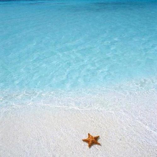 因为看清所以看轻