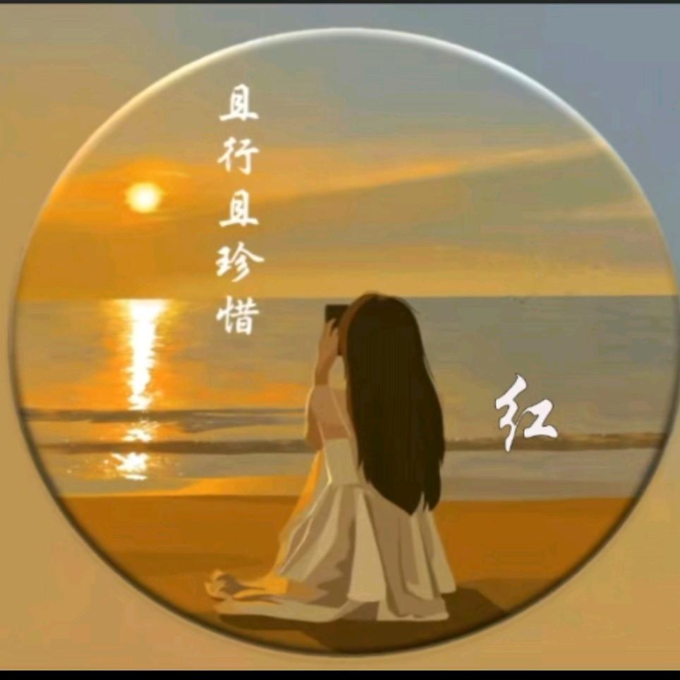 红姐