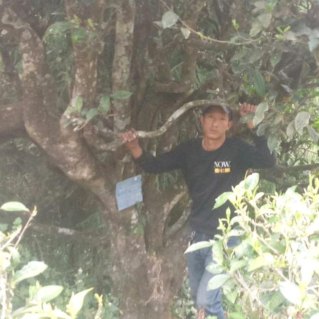 梁河—孙记回龙茶坊