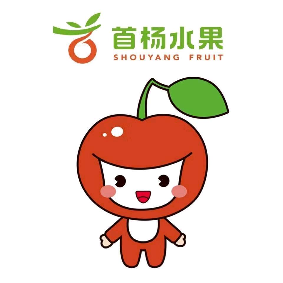 首杨水果加盟