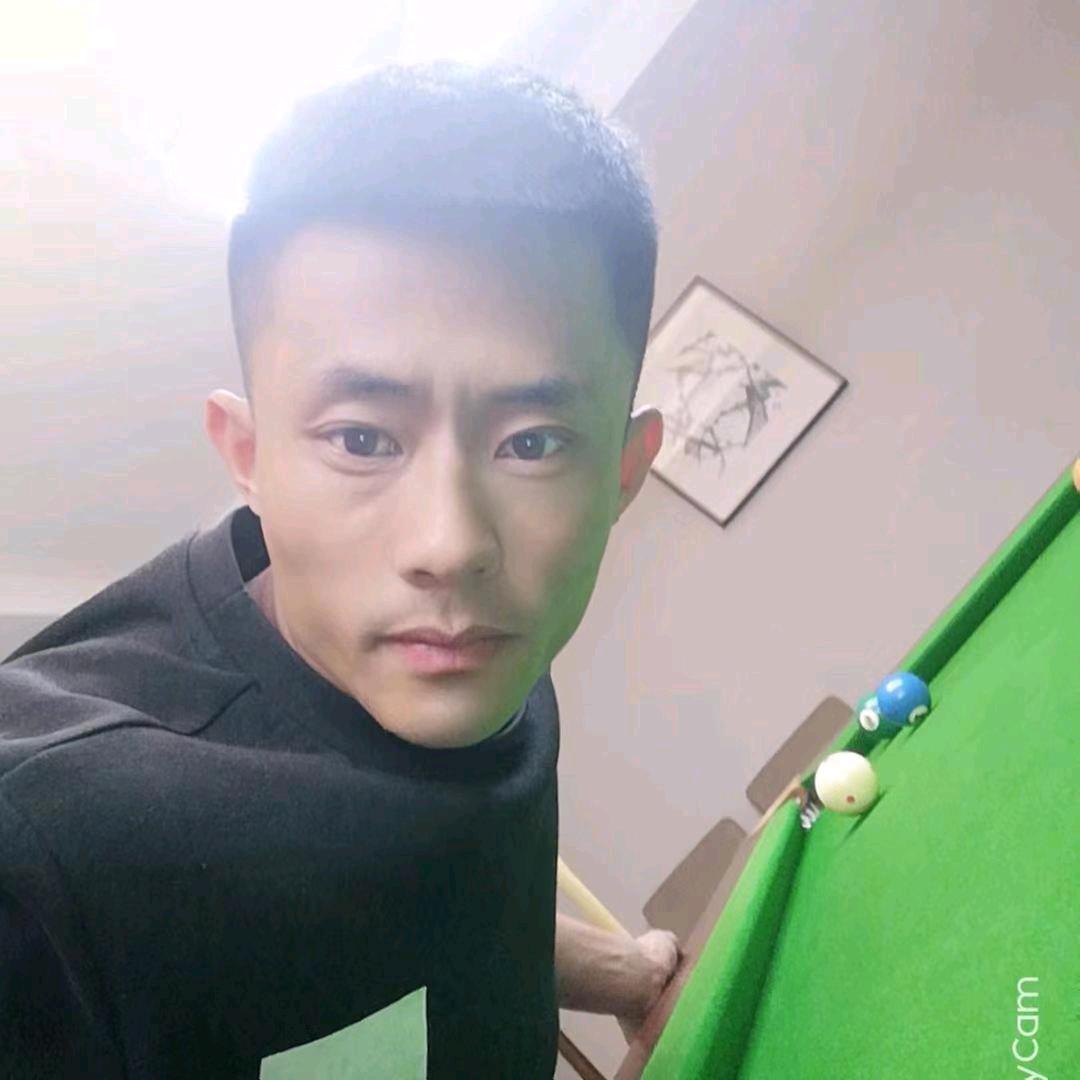 晓军名车(树树)