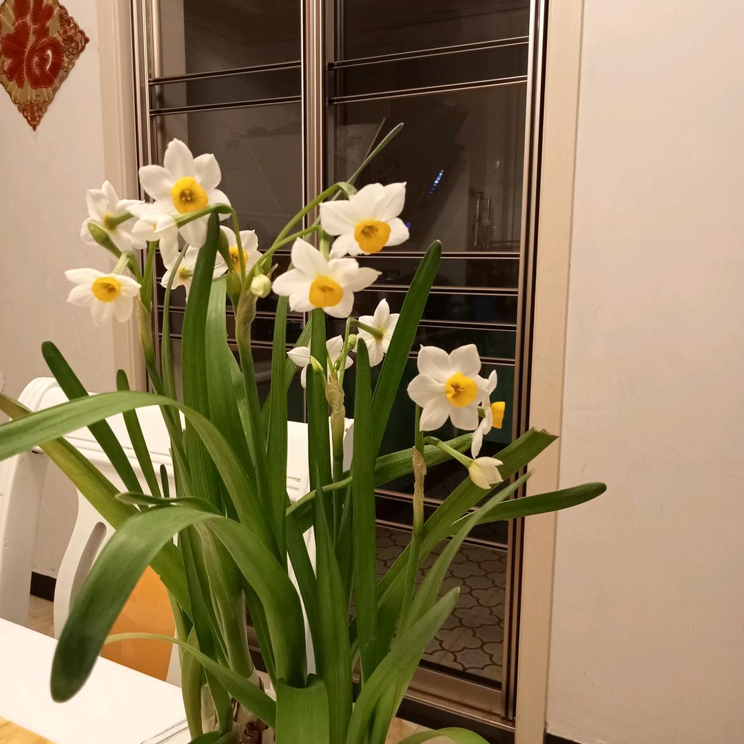 斟满千杯思