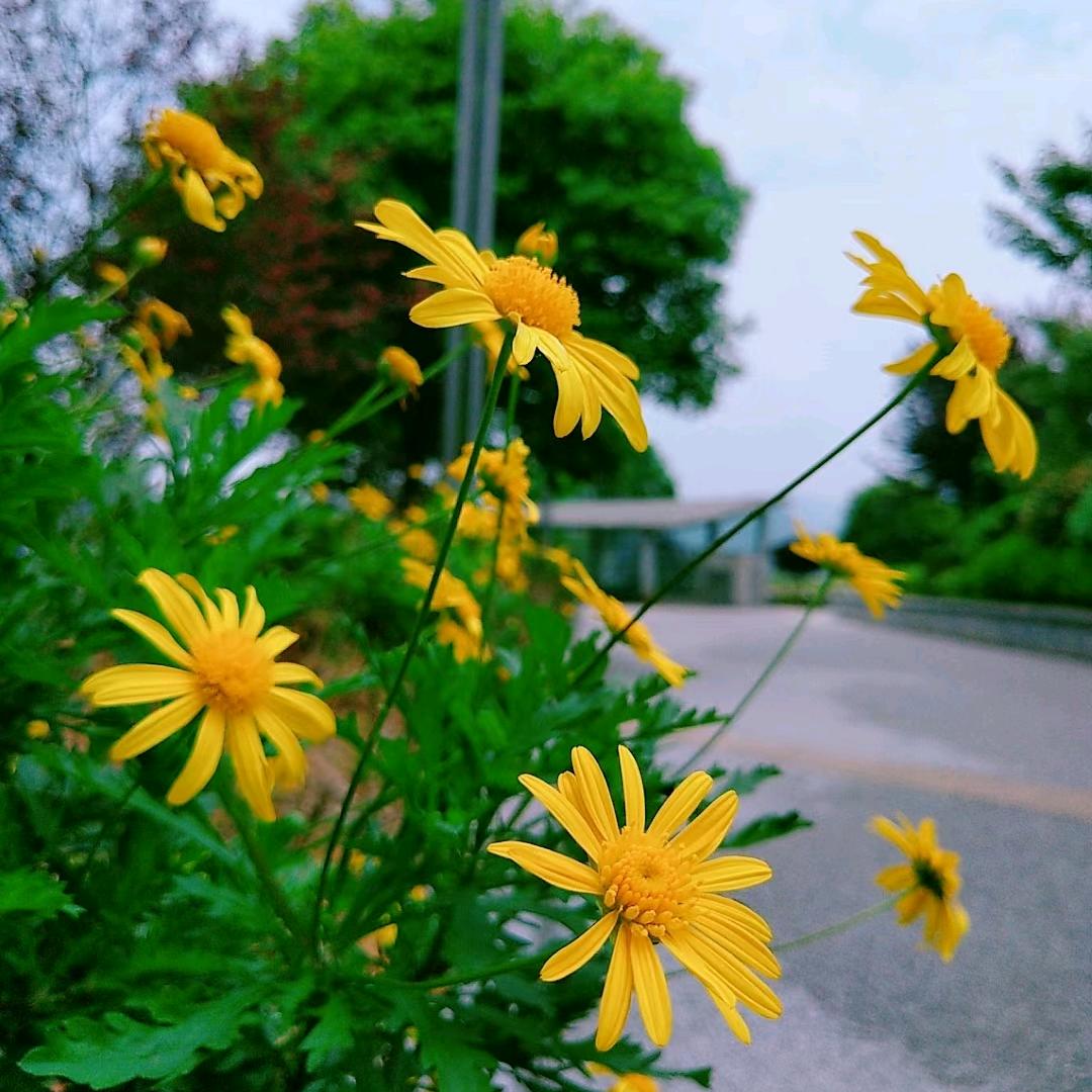 @@木～