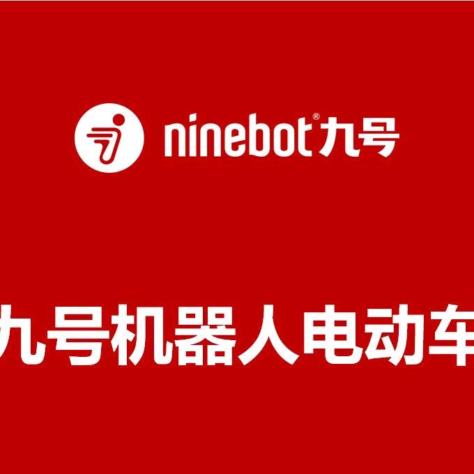 九号小杨
