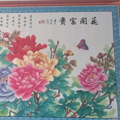 圆美