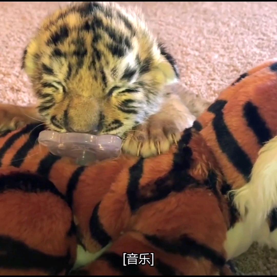 粒子微小头像