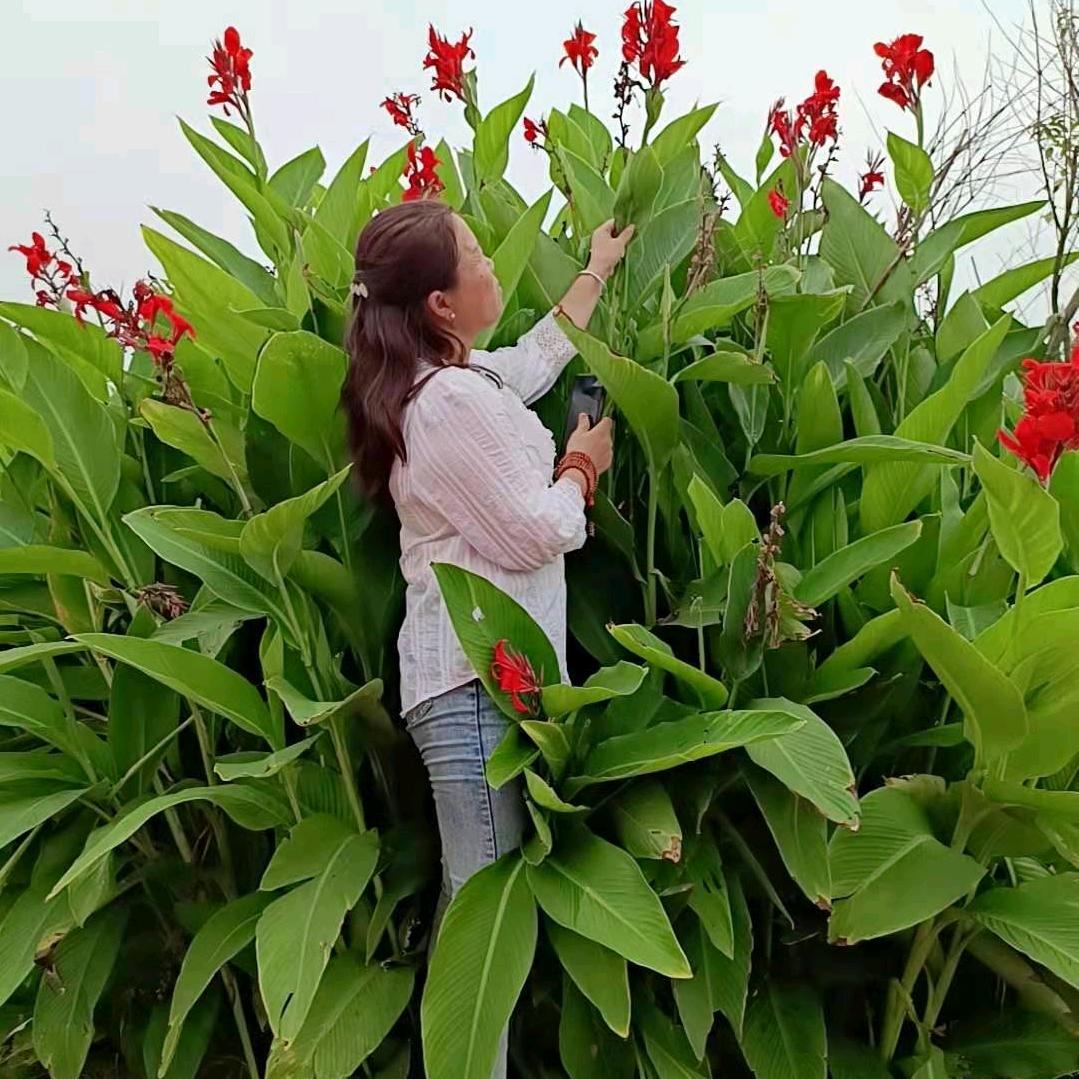 深海蔚蓝