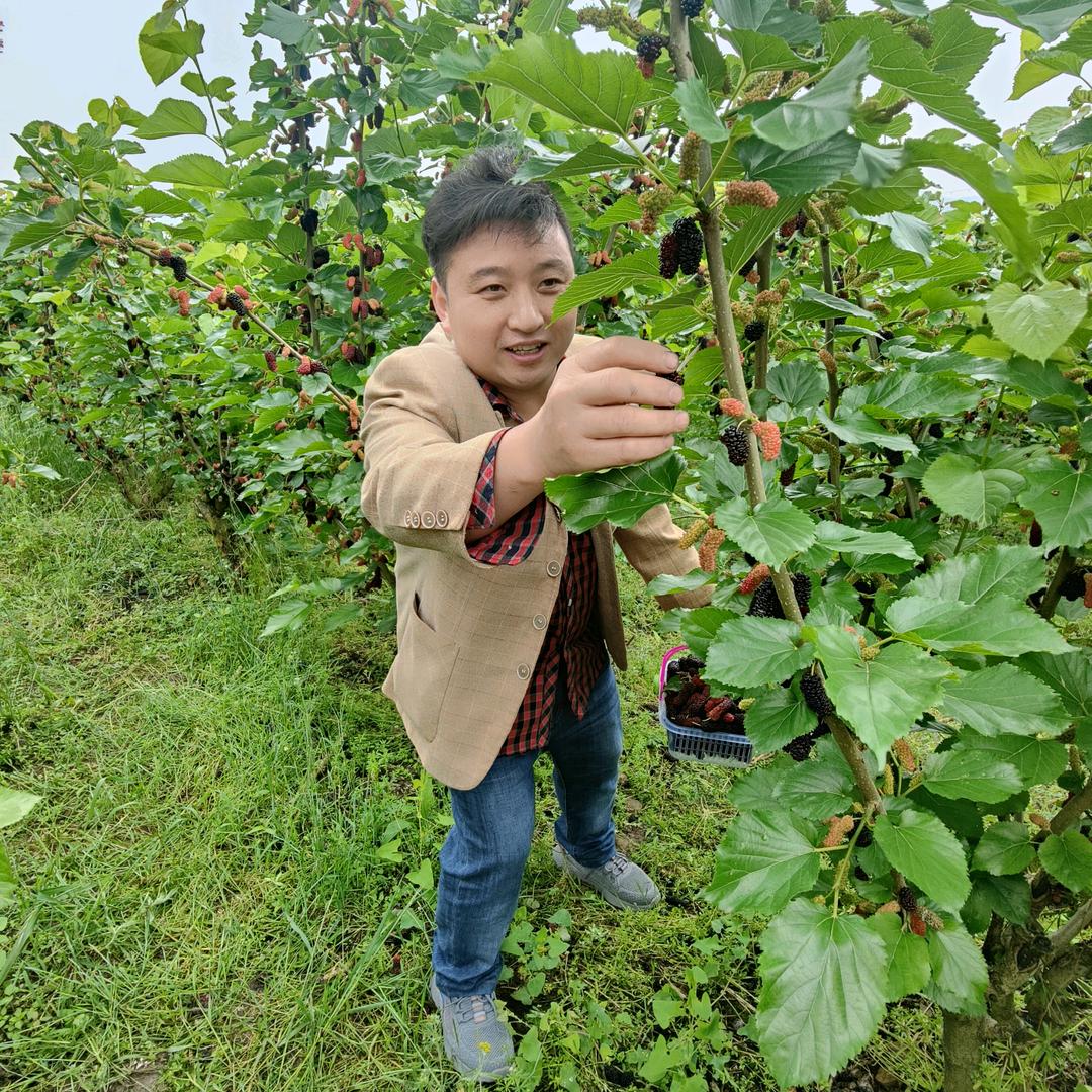 相识随缘