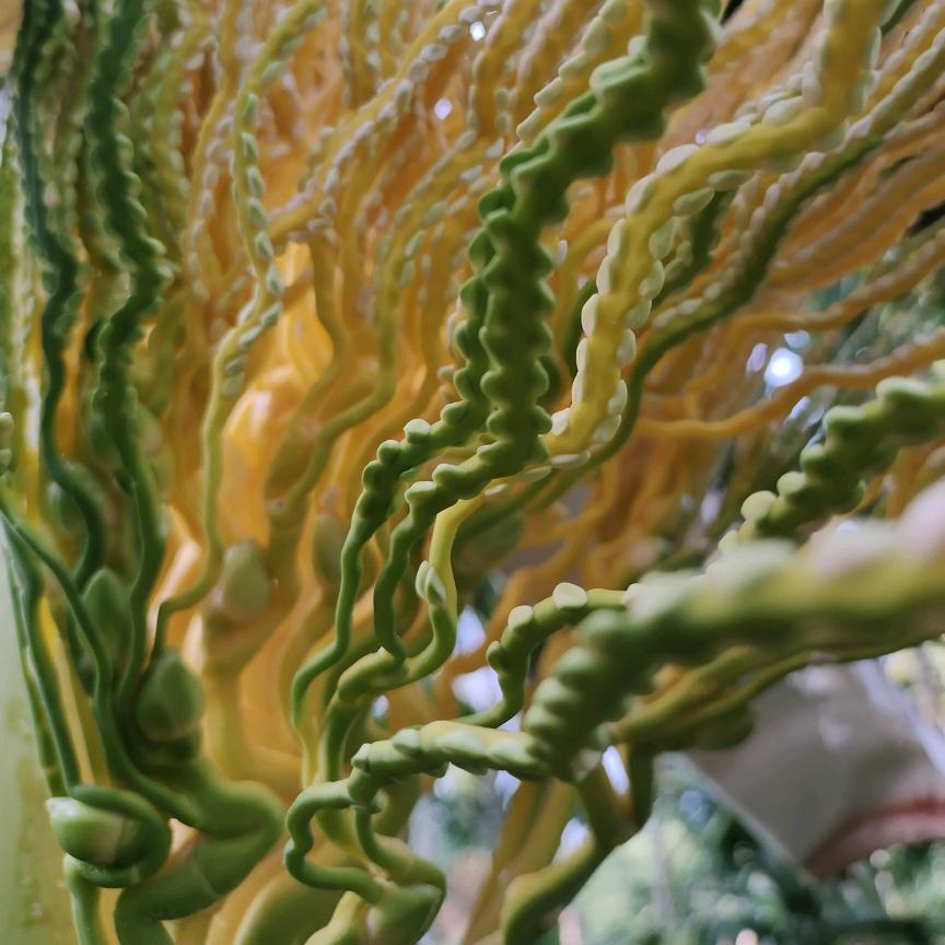 三轮车●车组成员