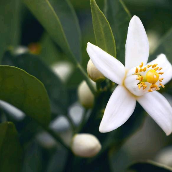 用户9976142507318安好