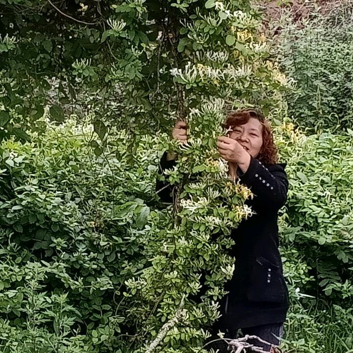 幸福美满