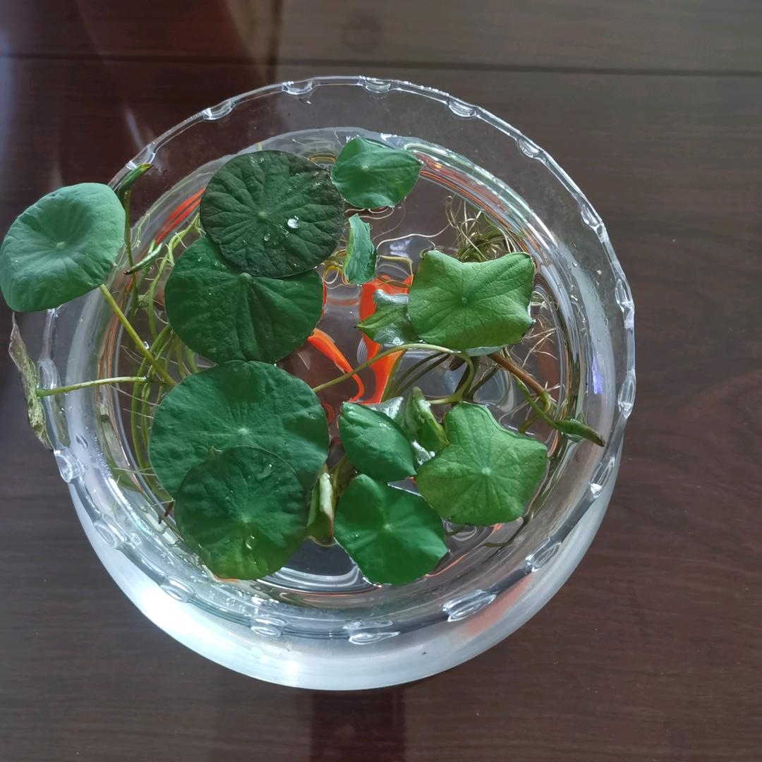 小荣杰