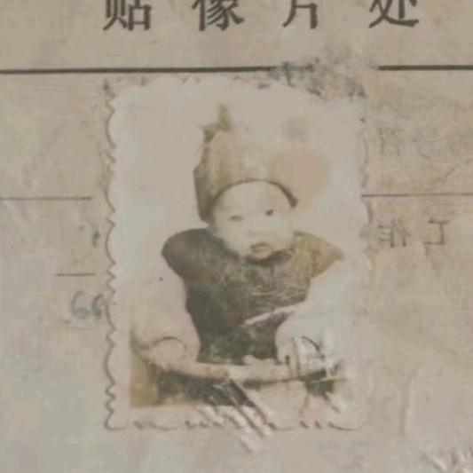 博王一肖