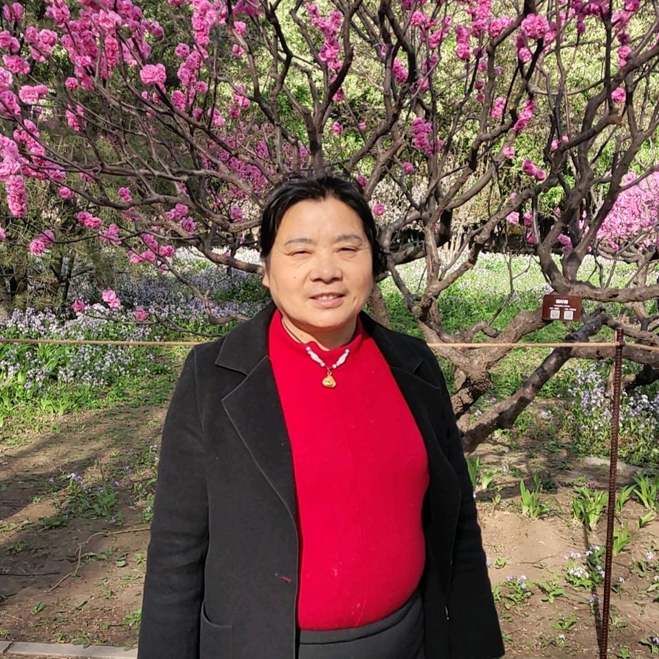 白莲（瓦罐鸡🐔）