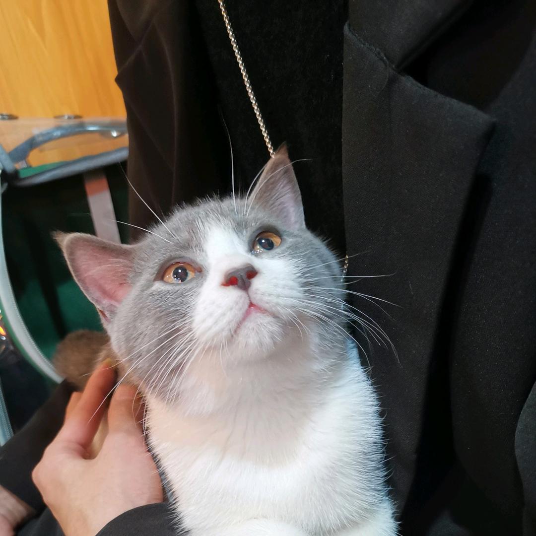 🌈🌈财神爷快来