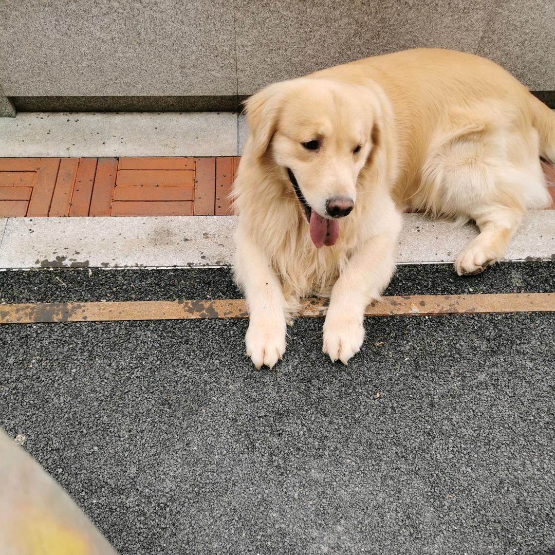春暖花开。