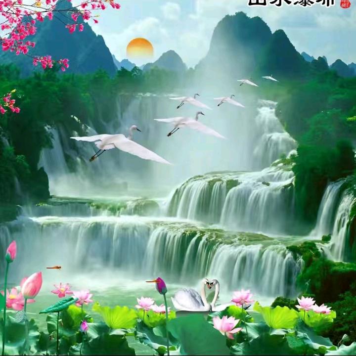 心静～随缘（508）: