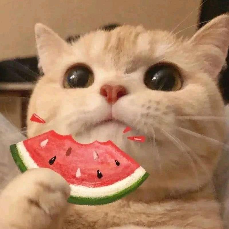 小白爱唱歌
