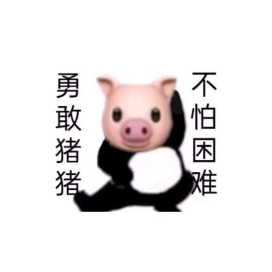 猪小王🐷