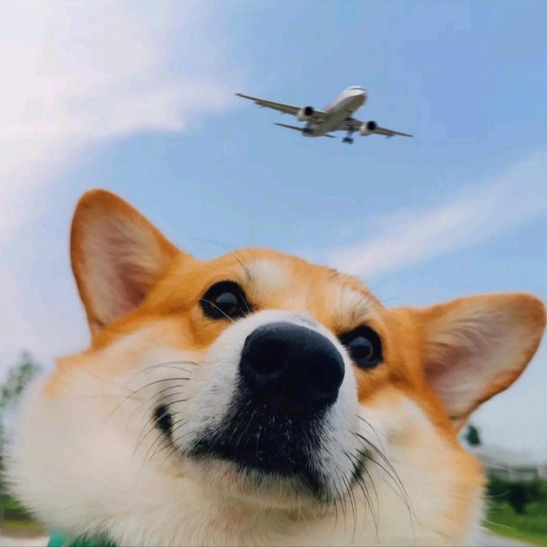 回望