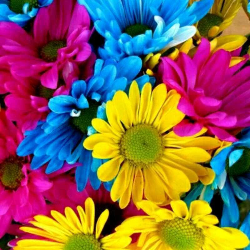 往后余生爱自己