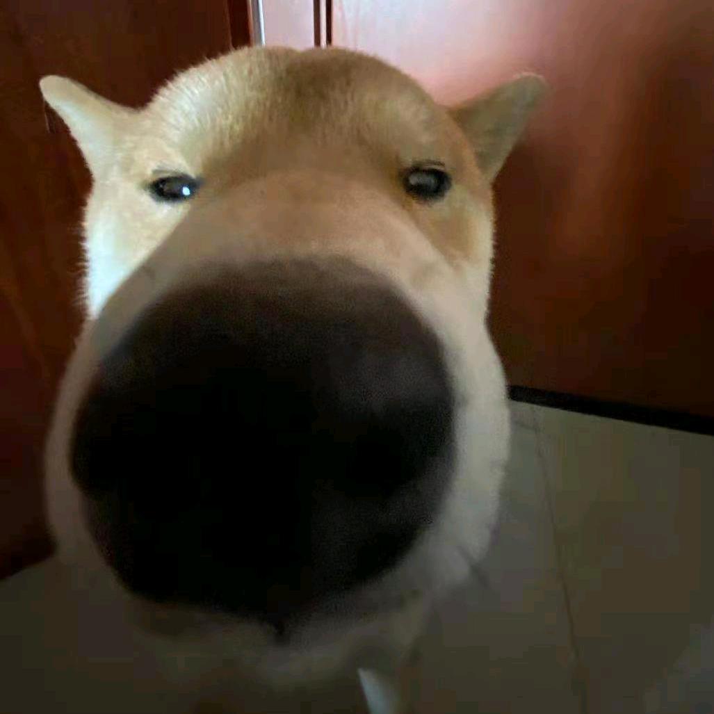 哈哈哈哈哈哈哈哈哈哈哈哈哈