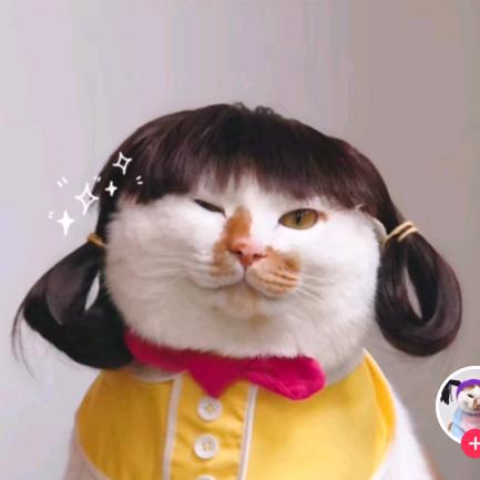 不高 不胖小人物